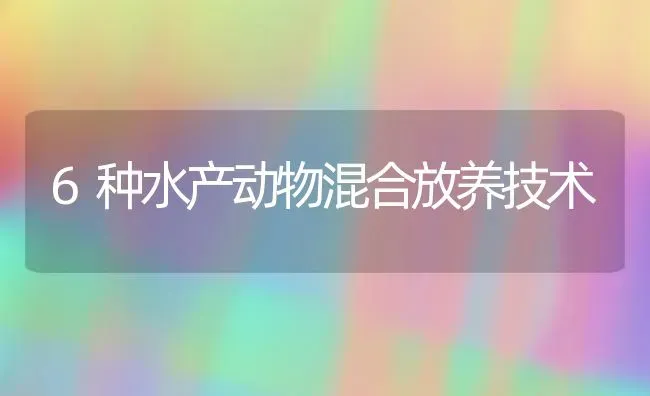6种水产动物混合放养技术 | 养殖技术大全