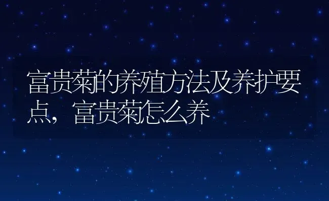富贵菊的养殖方法及养护要点,富贵菊怎么养 | 养殖学堂
