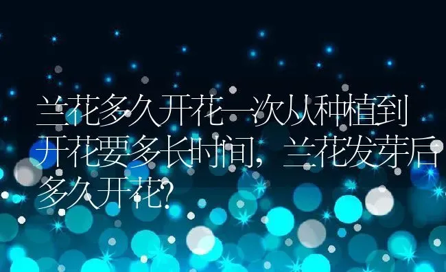 竹荪的功效与作用及食用方法,荪竹如何食用？ | 养殖科普