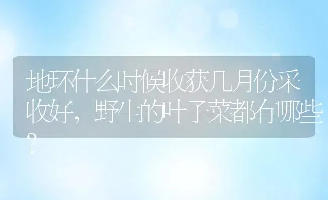 地环什么时候收获几月份采收好,野生的叶子菜都有哪些？ | 养殖科普