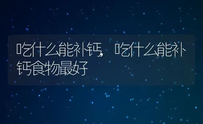 吃什么能补钙,吃什么能补钙食物最好 | 养殖资料