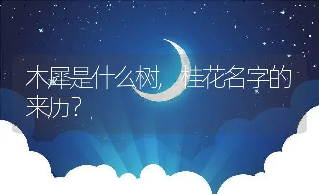 木犀是什么树,桂花名字的来历？ | 养殖科普