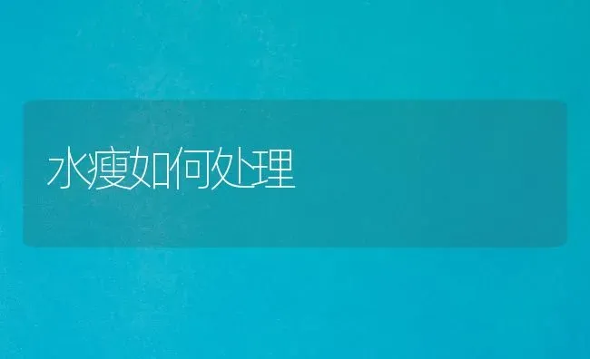 水瘦如何处理 | 养殖技术大全