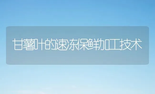 甘薯叶的速冻保鲜加工技术 | 养殖技术大全