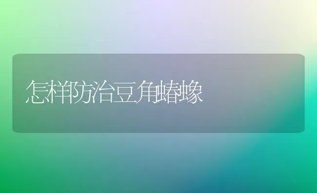 怎样防治豆角蝽蟓 | 养殖知识