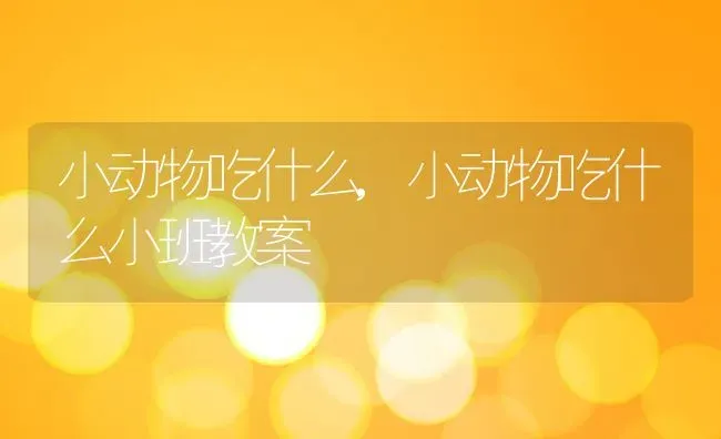 小动物吃什么,小动物吃什么小班教案 | 养殖资料