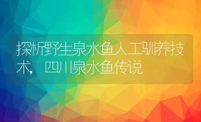 探析野生泉水鱼人工驯养技术,四川泉水鱼传说 | 养殖学堂