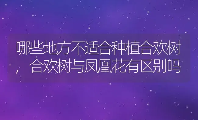 哪些地方不适合种植合欢树,合欢树与凤凰花有区别吗 | 养殖学堂