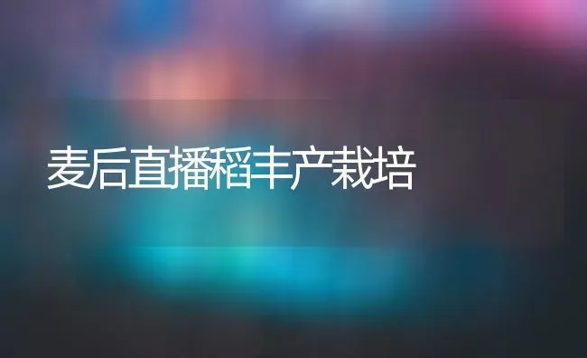 麦后直播稻丰产栽培 | 养殖知识