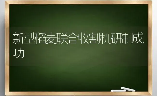 新型稻麦联合收割机研制成功 | 养殖技术大全