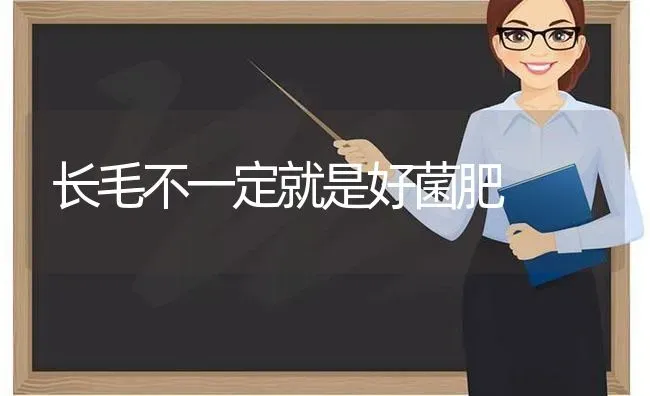 长毛不一定就是好菌肥 | 养殖技术大全