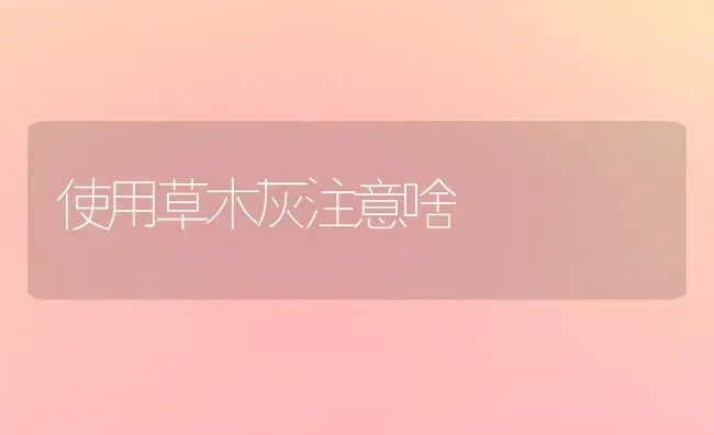 使用草木灰注意啥 | 养殖技术大全