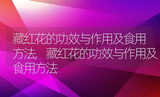 藏红花的功效与作用及食用方法,藏红花的功效与作用及食用方法 | 养殖科普