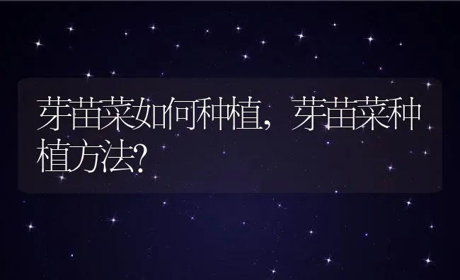 芽苗菜如何种植,芽苗菜种植方法？ | 养殖科普