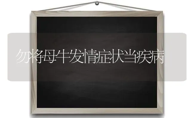 勿将母牛发情症状当疾病 | 养殖知识
