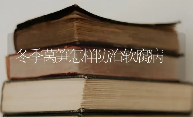 冬季莴笋怎样防治软腐病 | 养殖知识