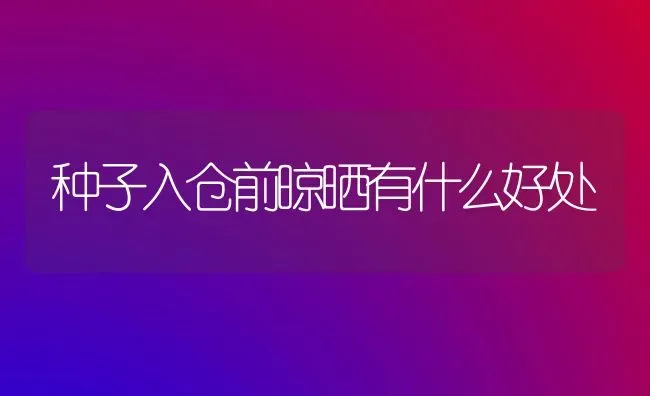 种子入仓前晾晒有什么好处 | 养殖知识