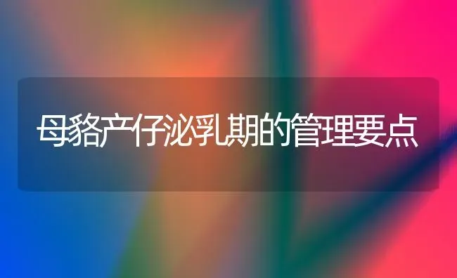 母貉产仔泌乳期的管理要点 | 养殖知识