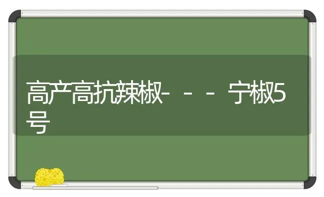 高产高抗辣椒---宁椒5号 | 养殖技术大全