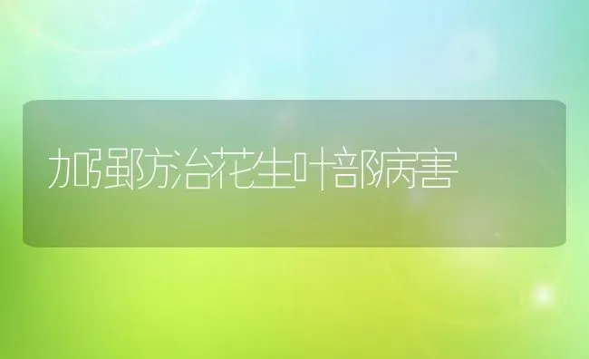 加强防治花生叶部病害 | 养殖知识