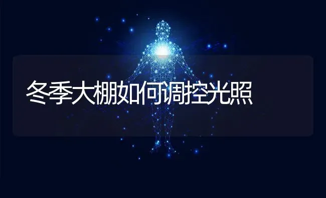 冬季大棚如何调控光照 | 养殖技术大全