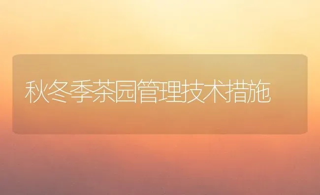 秋冬季茶园管理技术措施 | 养殖知识