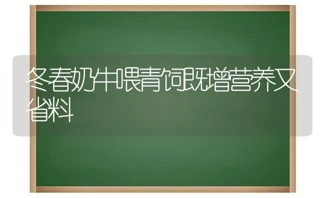 冬春奶牛喂青饲既增营养又省料 | 养殖知识