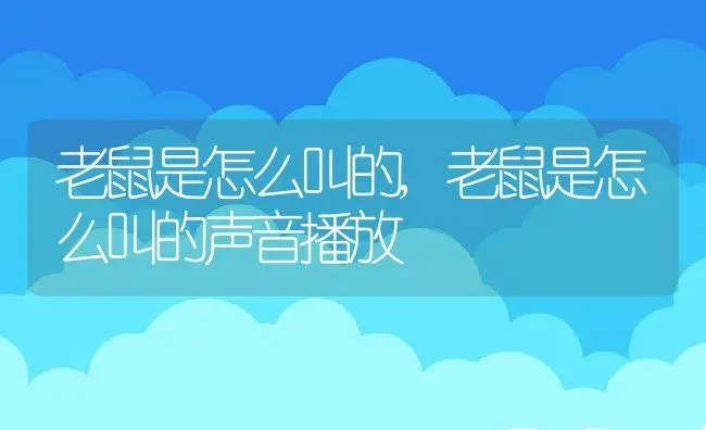 老鼠是怎么叫的,老鼠是怎么叫的声音播放 | 养殖资料