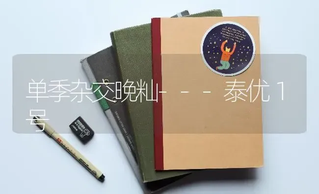单季杂交晚籼---泰优１号 | 养殖技术大全