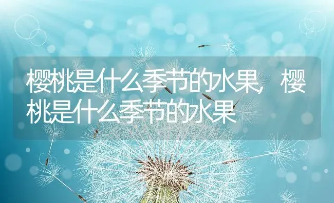 樱桃是什么季节的水果,樱桃是什么季节的水果 | 养殖科普