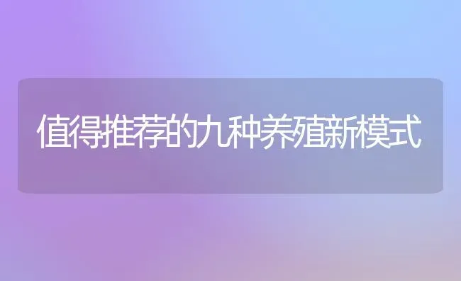 值得推荐的九种养殖新模式 | 养殖知识