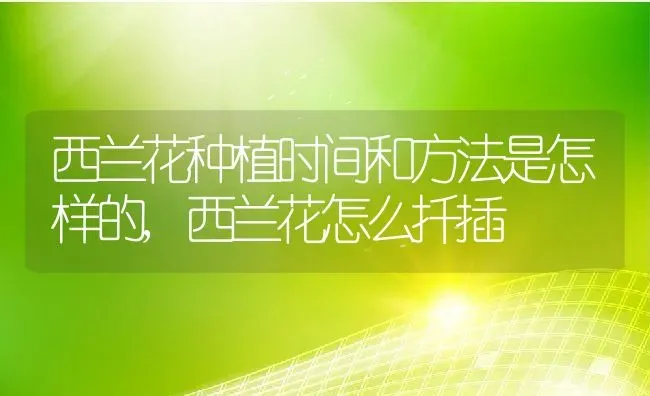 西兰花种植时间和方法是怎样的,西兰花怎么扦插 | 养殖学堂