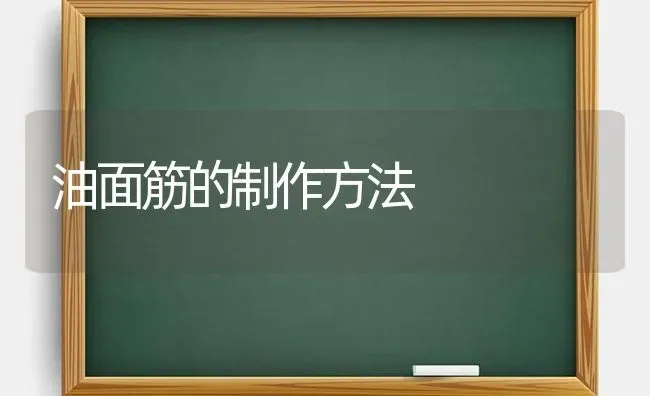 油面筋的制作方法 | 养殖技术大全