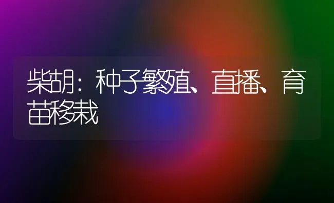 柴胡：种子繁殖、直播、育苗移栽 | 养殖知识