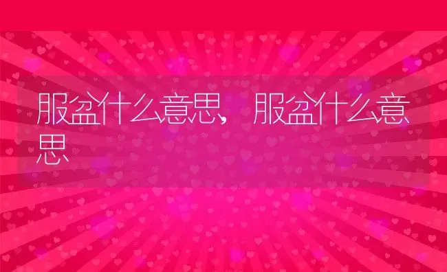 服盆什么意思,服盆什么意思 | 养殖科普
