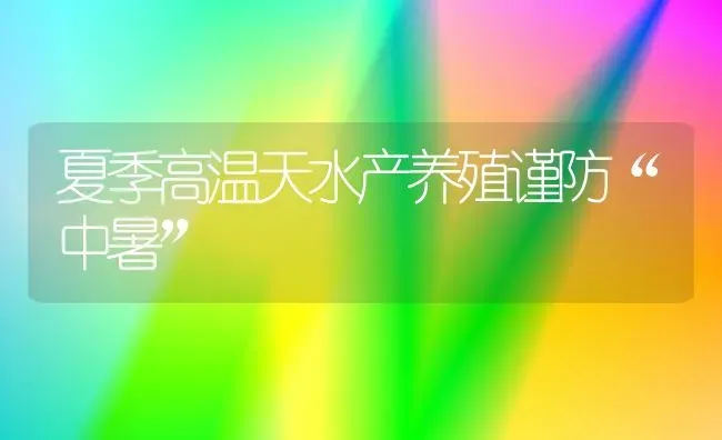 夏季高温天水产养殖谨防“中暑” | 养殖知识