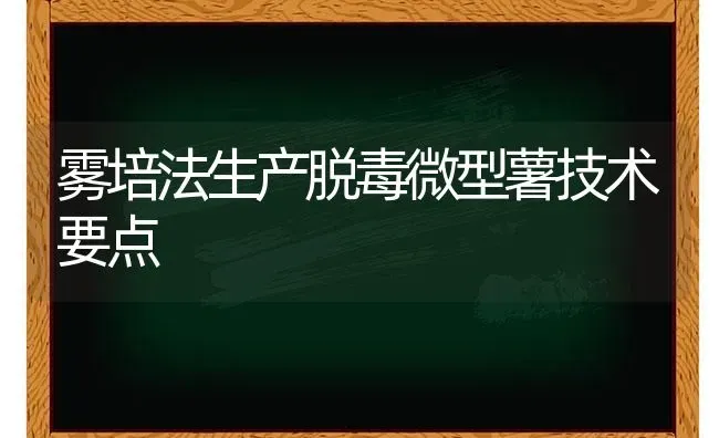 雾培法生产脱毒微型薯技术要点 | 养殖技术大全