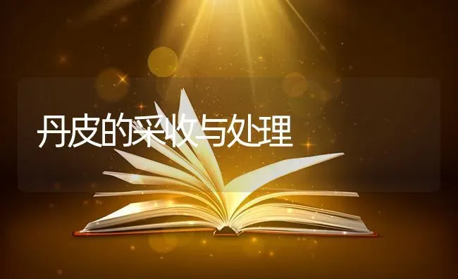 丹皮的采收与处理 | 养殖技术大全