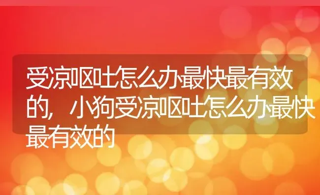 受凉呕吐怎么办最快最有效的,小狗受凉呕吐怎么办最快最有效的 | 养殖资料