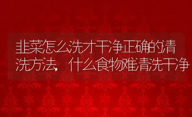 韭菜怎么洗才干净正确的清洗方法,什么食物难清洗干净 | 养殖学堂