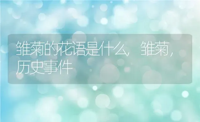 香水兰花的养殖方法和注意事项,香水兰花浇水口诀 | 养殖学堂