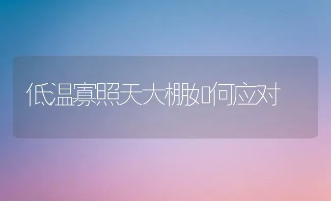 低温寡照天大棚如何应对 | 养殖技术大全