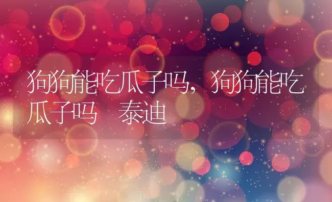 狗狗能吃瓜子吗,狗狗能吃瓜子吗 泰迪 | 养殖科普