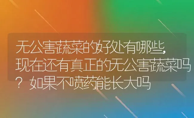 无公害蔬菜的好处有哪些,现在还有真正的无公害蔬菜吗？如果不喷药能长大吗 | 养殖学堂