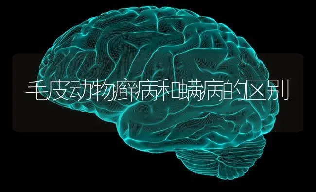 毛皮动物癣病和螨病的区别 | 养殖知识