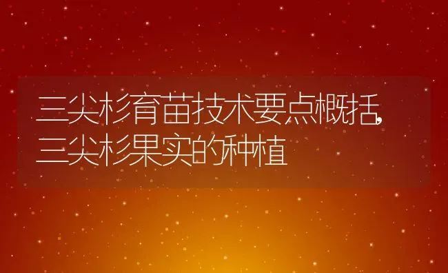 三尖杉育苗技术要点概括,三尖杉果实的种植 | 养殖学堂