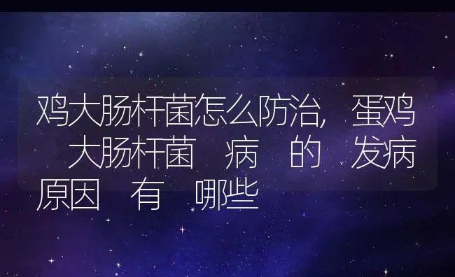 鸡大肠杆菌怎么防治,蛋鸡 大肠杆菌 病 的 发病 原因 有 哪些 | 养殖学堂