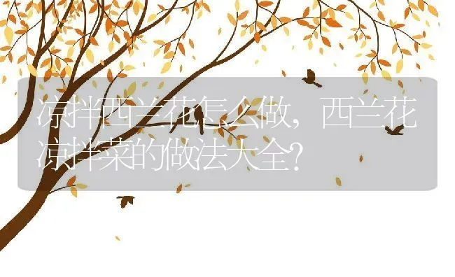 凉拌西兰花怎么做,西兰花凉拌菜的做法大全？ | 养殖学堂