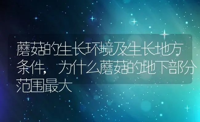 蘑菇的生长环境及生长地方条件,为什么蘑菇的地下部分范围最大 | 养殖学堂