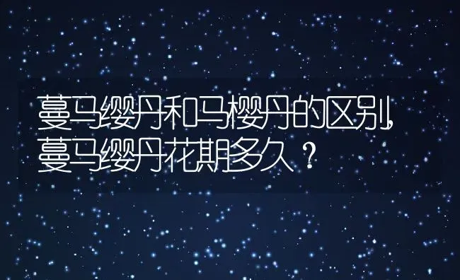 蔓马缨丹和马樱丹的区别,蔓马缨丹花期多久？ | 养殖科普